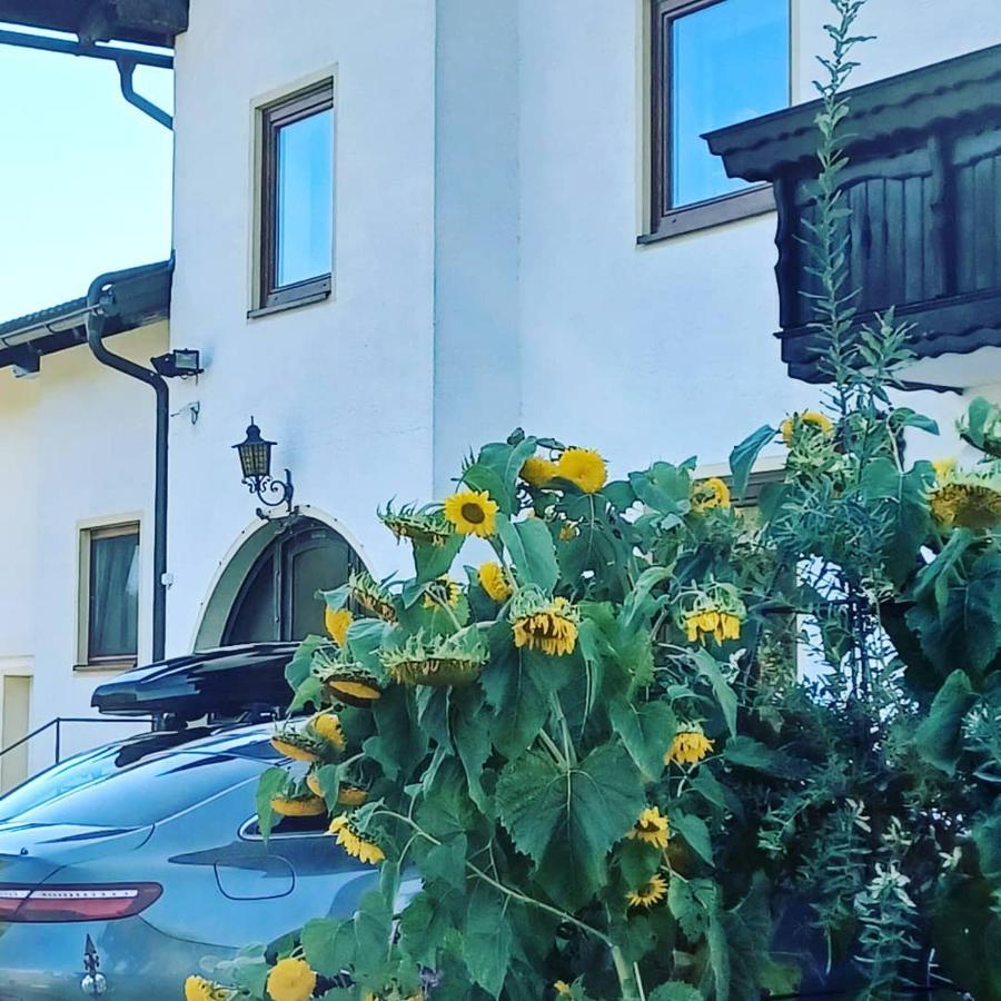 Ferienwohnung Schaller Feistritz an der Drau المظهر الخارجي الصورة