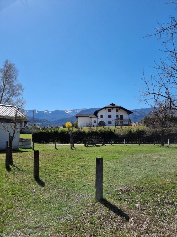 Ferienwohnung Schaller Feistritz an der Drau المظهر الخارجي الصورة